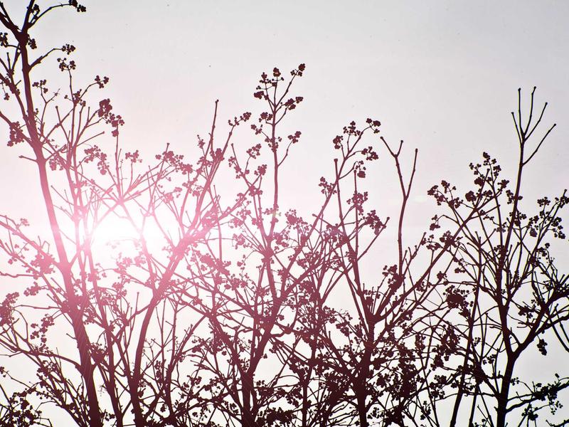 sudoku solution check screenshot 1